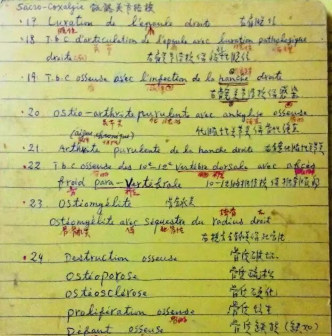 陈医生双语笔记.png